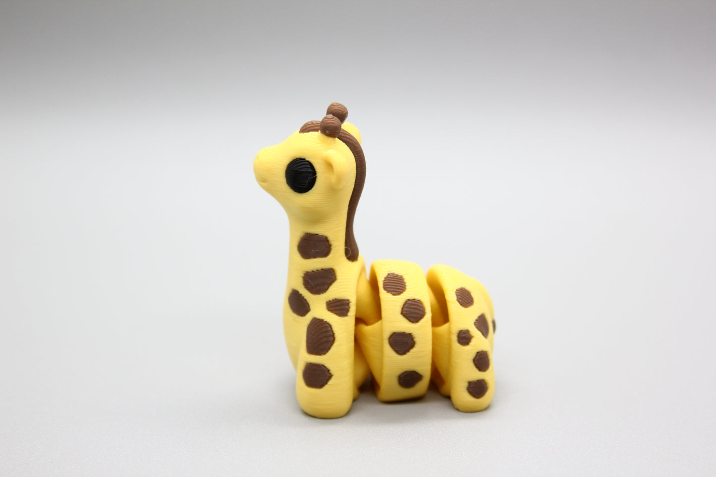 Baby Giraffe