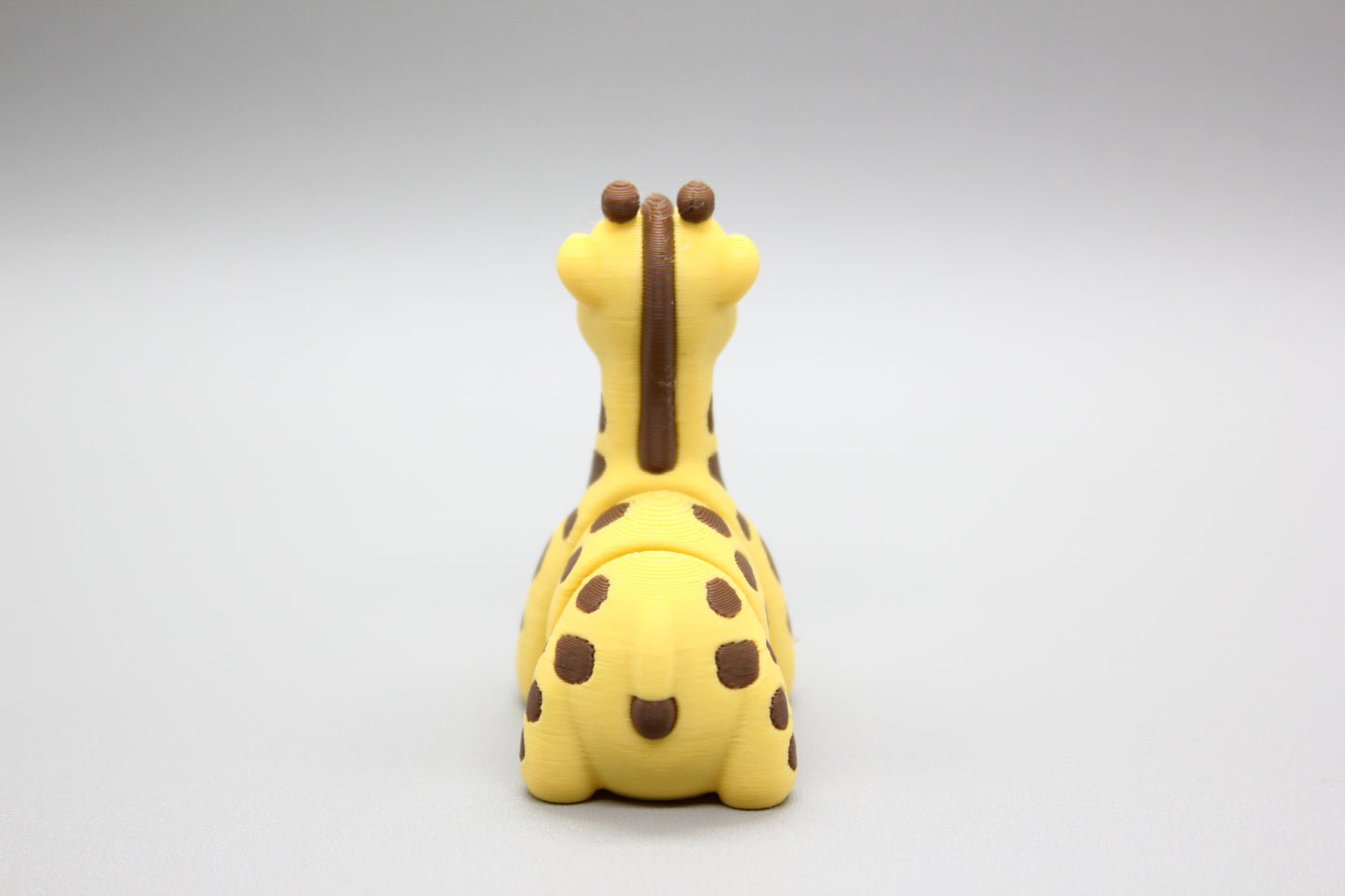 Baby Giraffe
