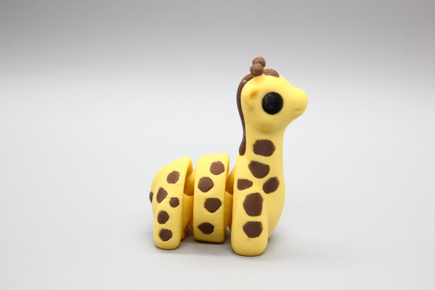 Baby Giraffe