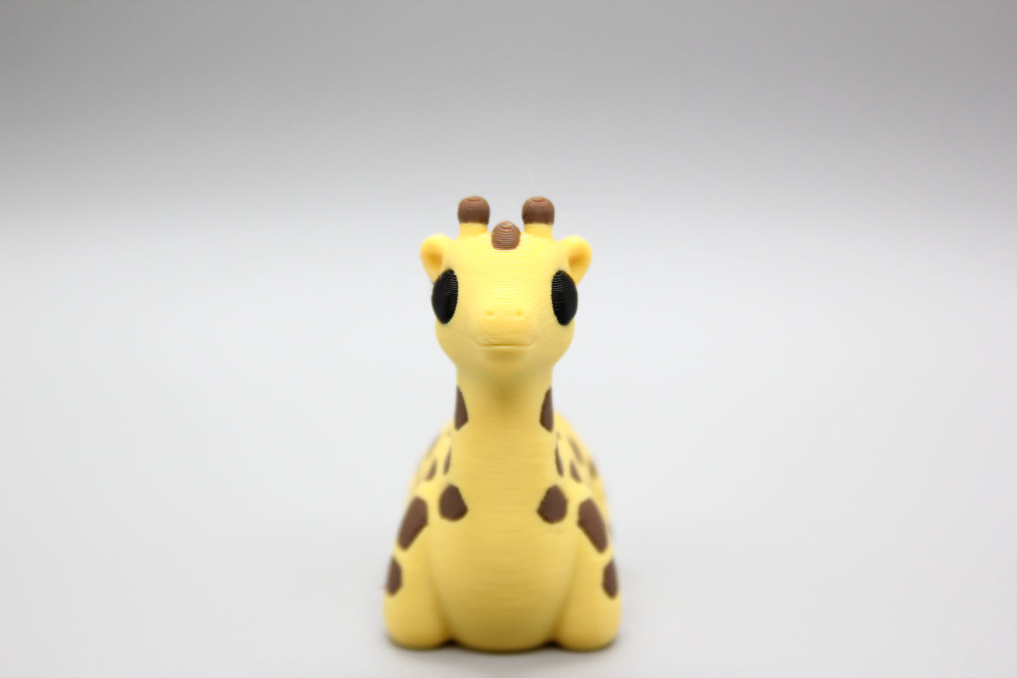 Baby Giraffe