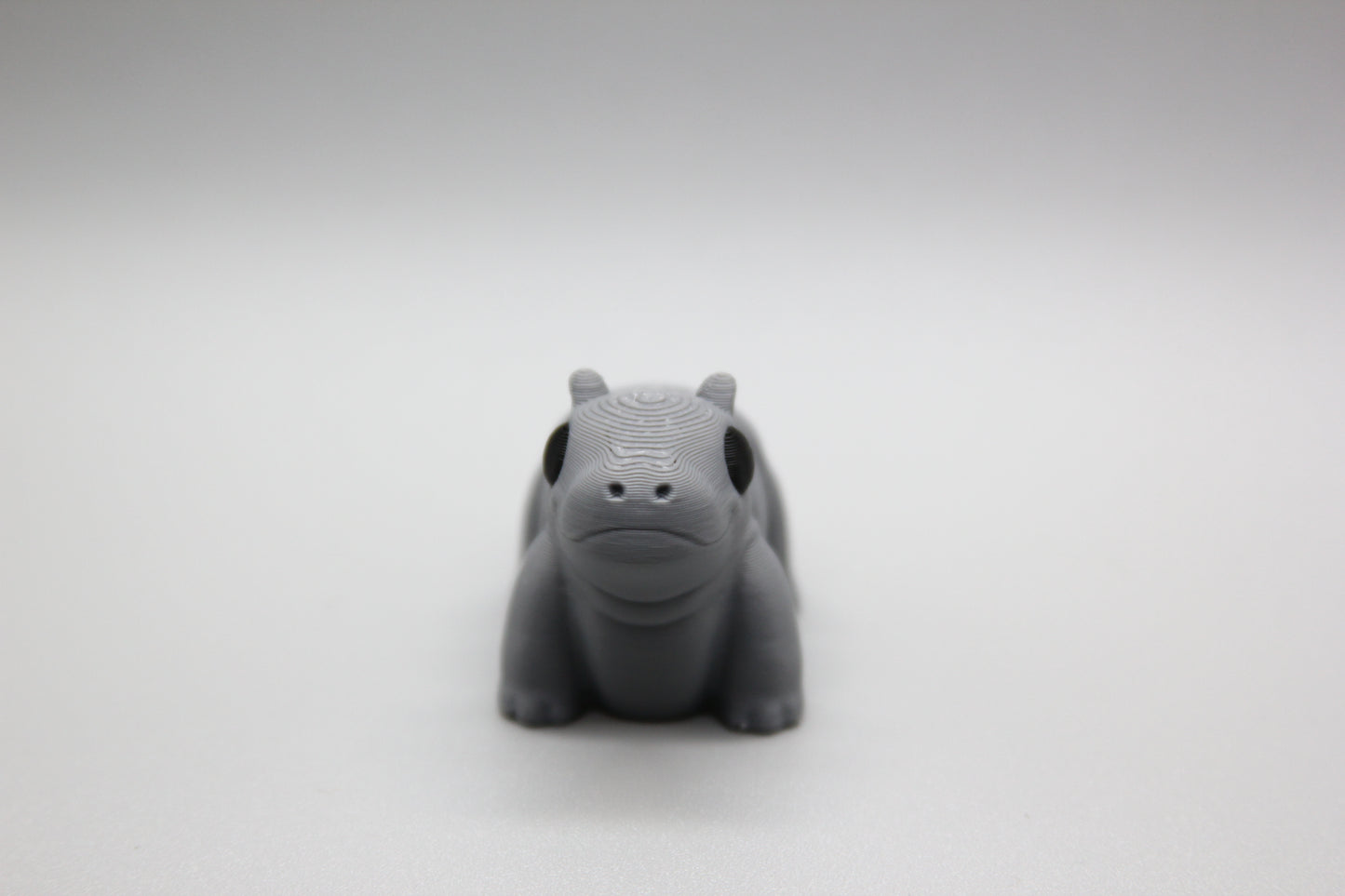 Baby Hippo