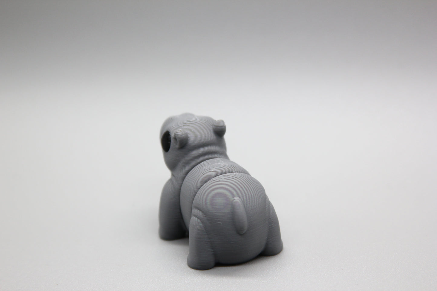 Baby Hippo
