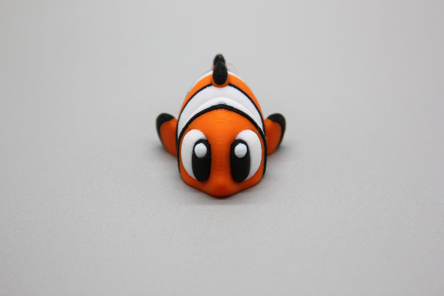 Tropical Clownfish