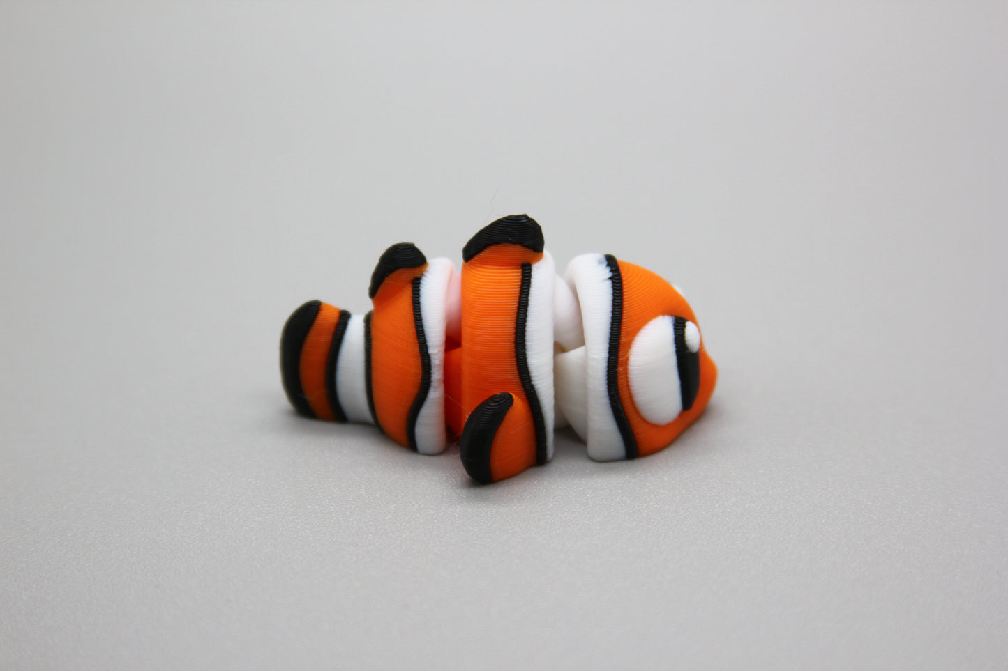 Tropical Clownfish