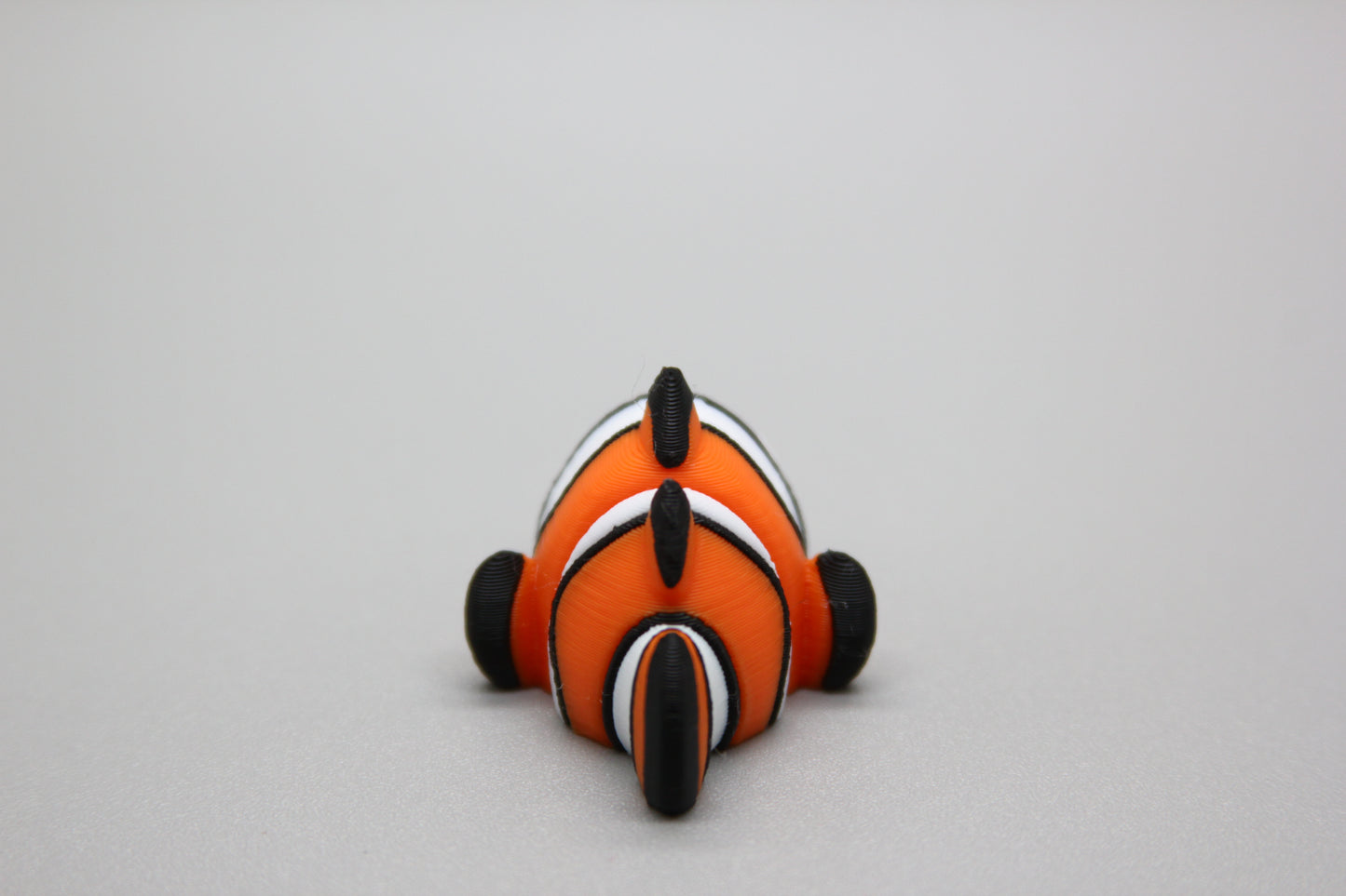 Tropical Clownfish