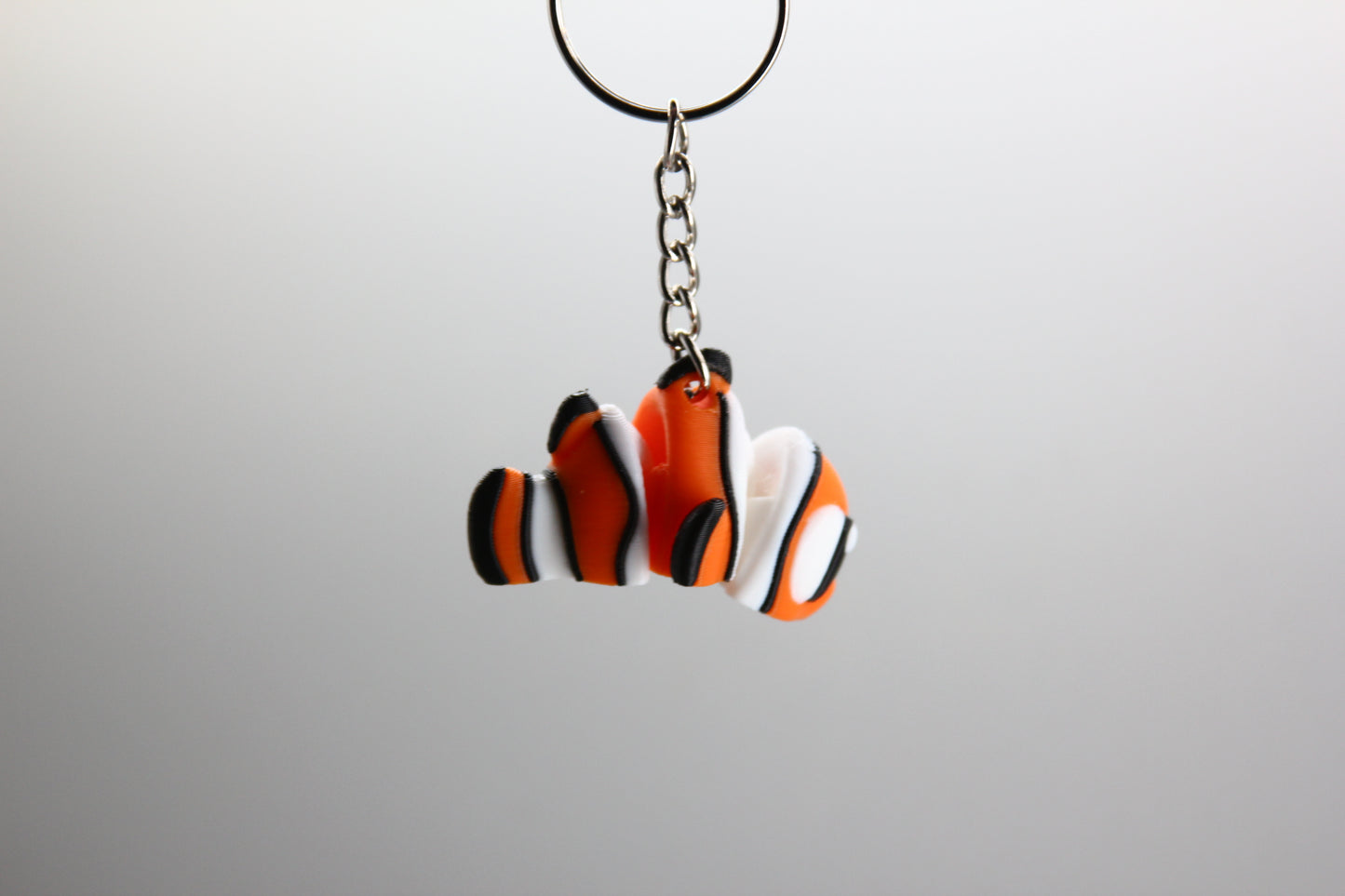 Tropical Clownfish
