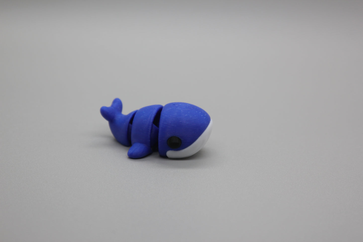 Baby Whale