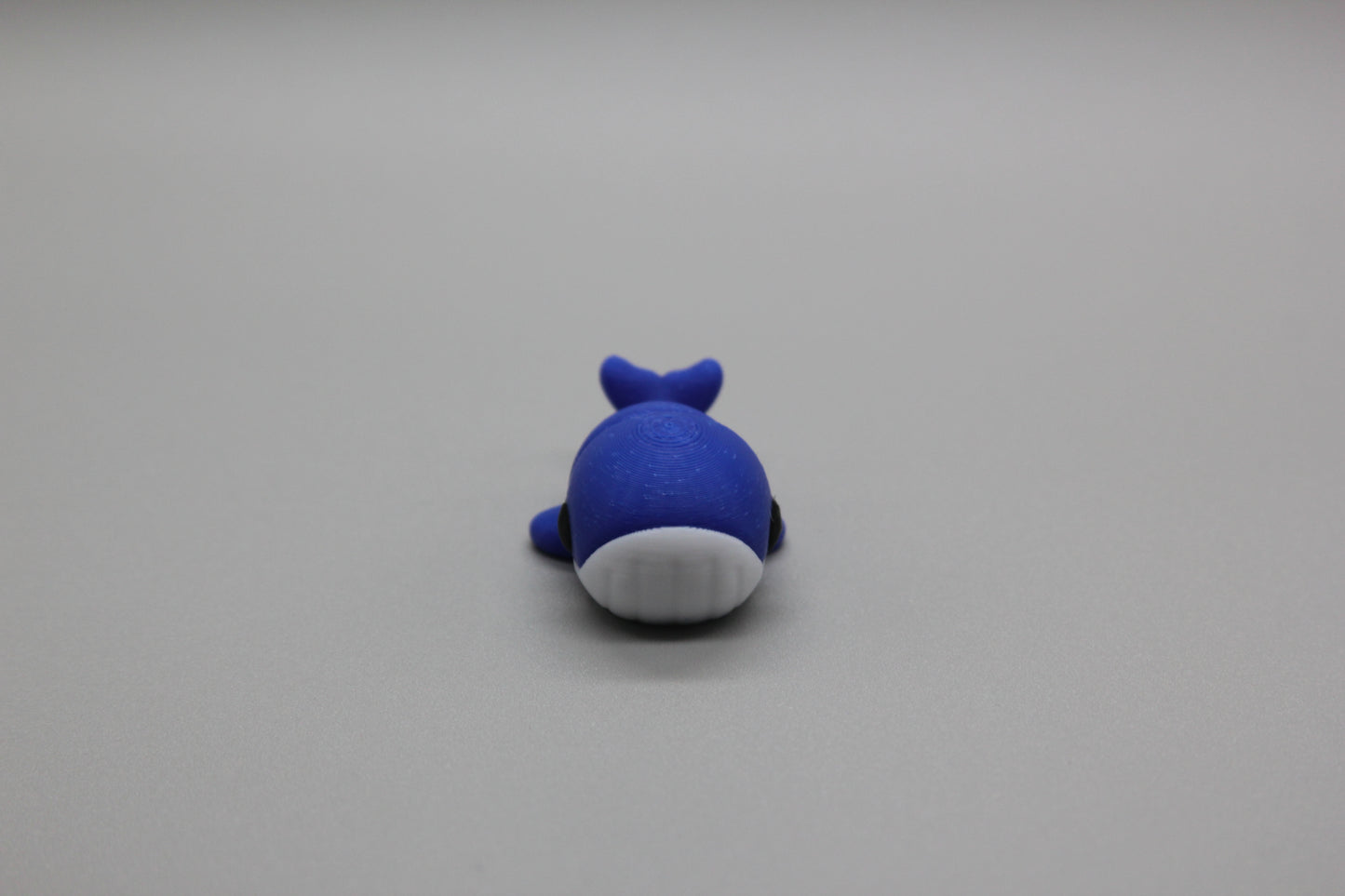Baby Whale