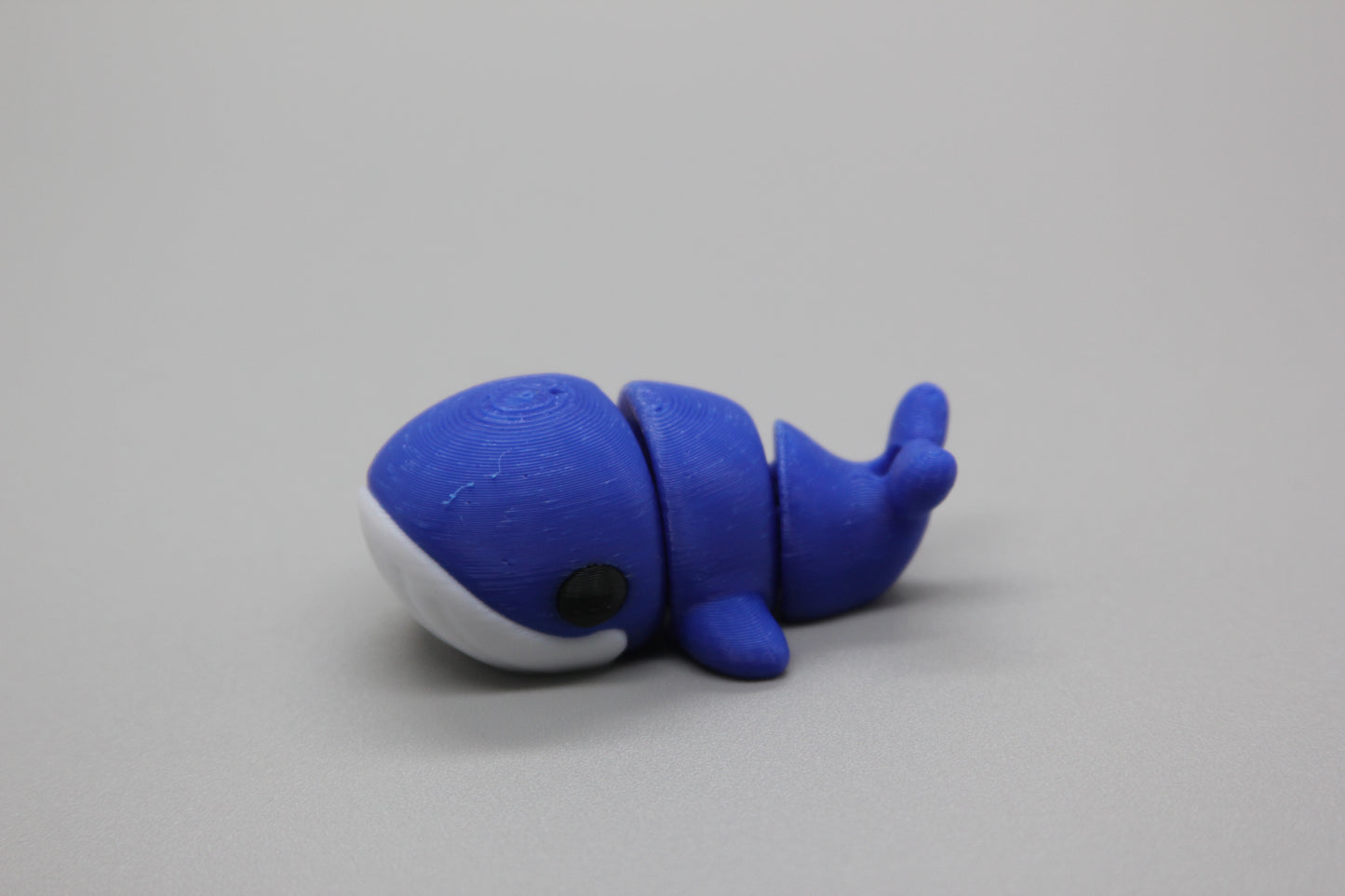 Baby Whale