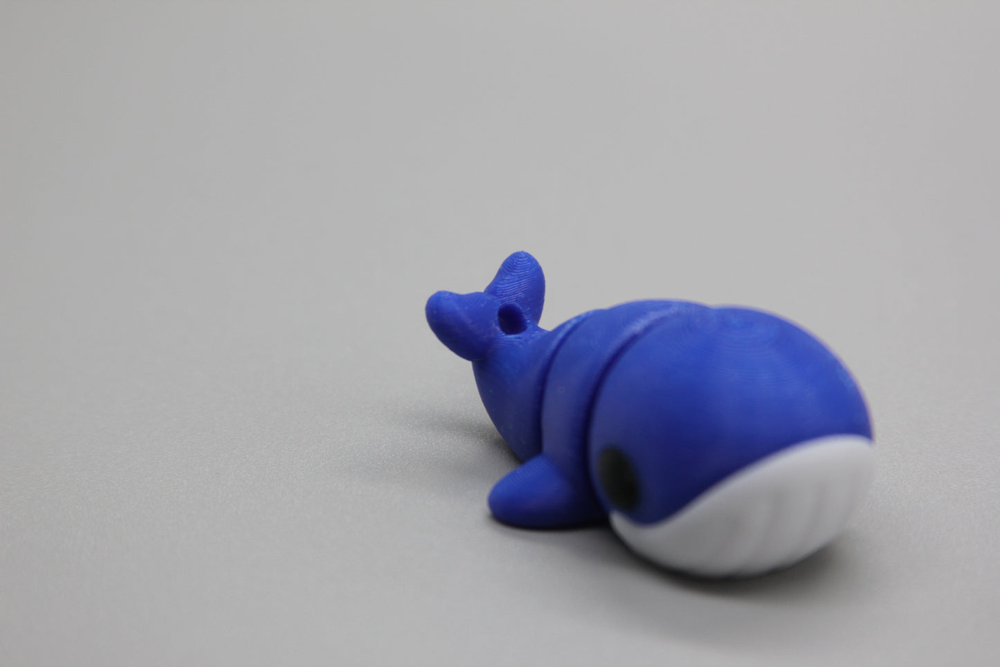 Baby Whale
