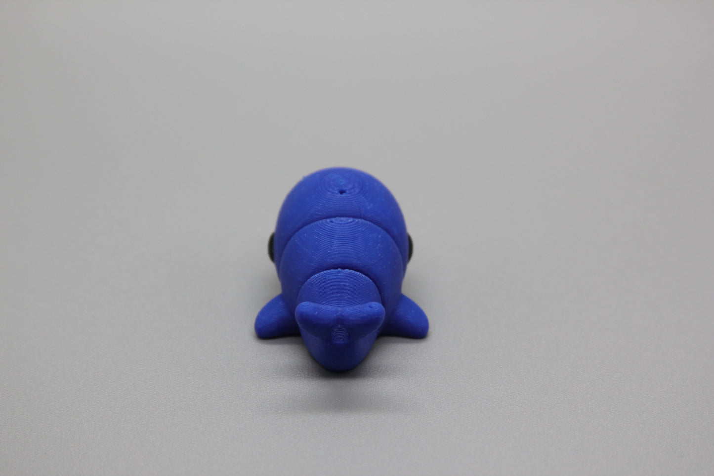 Baby Whale