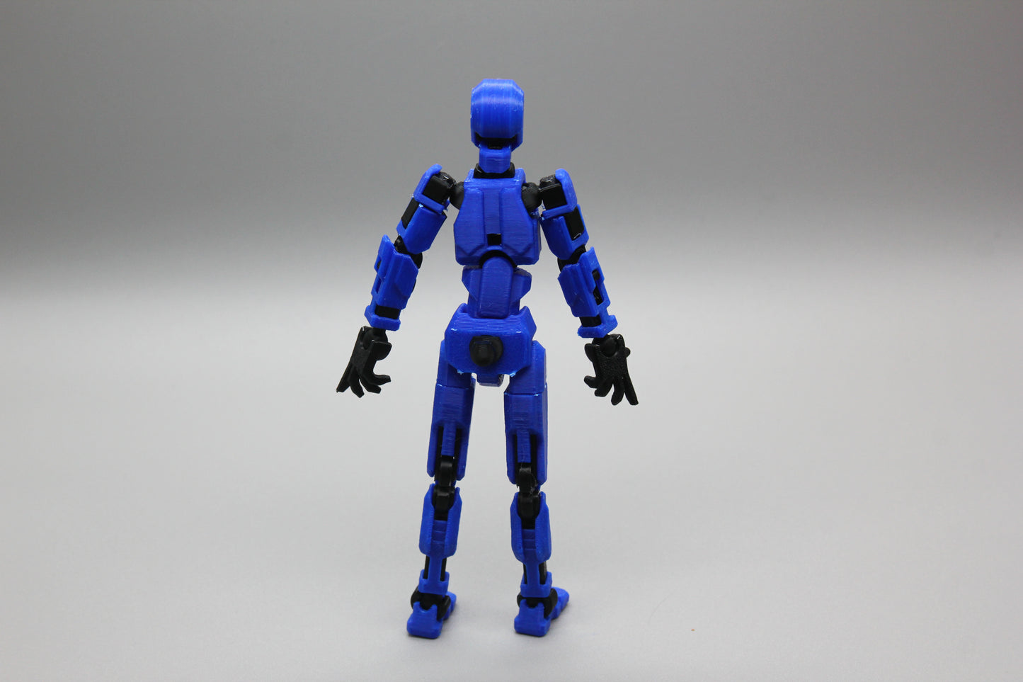 Dummy 13(guy, assembled)