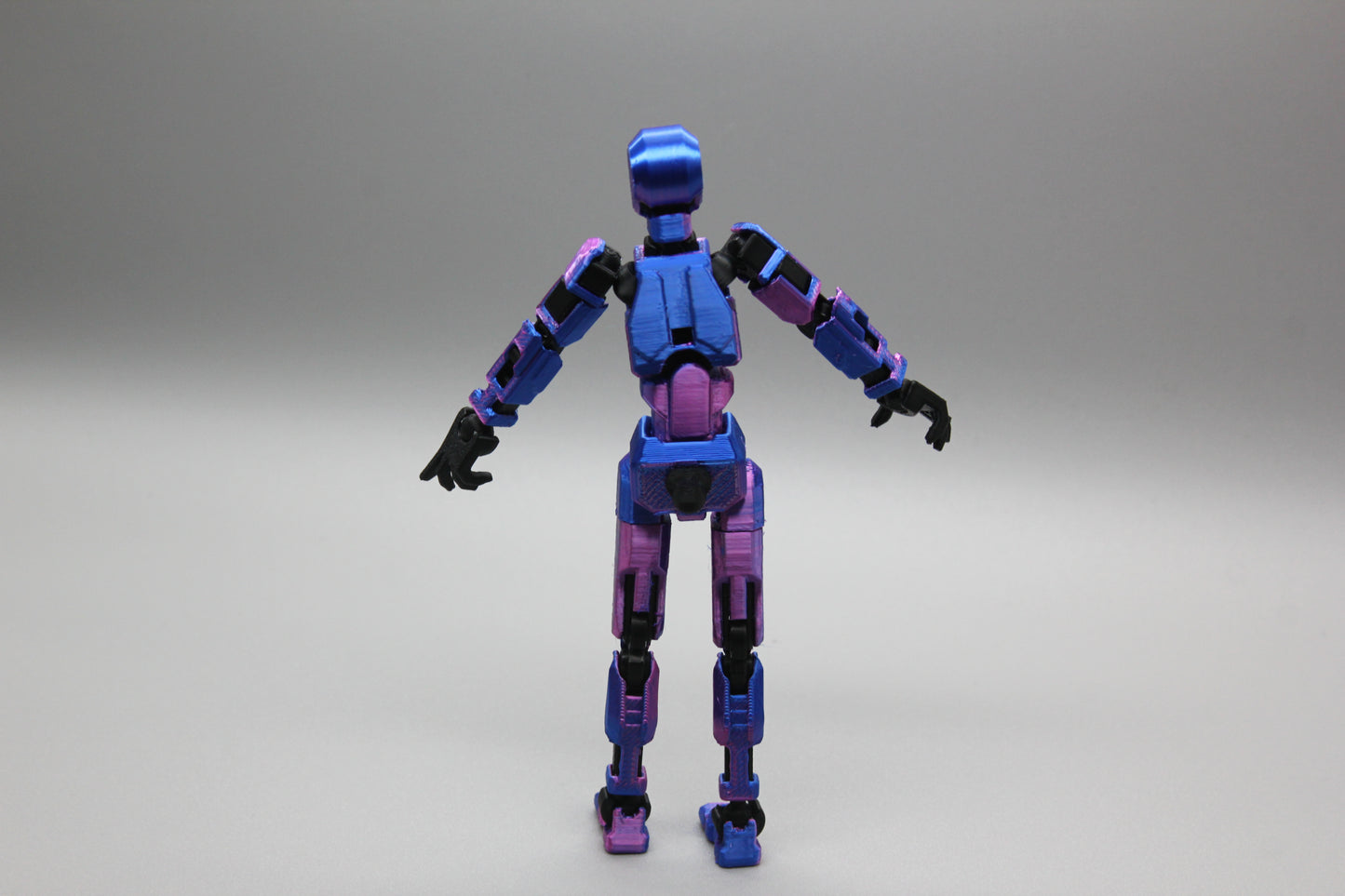 Dummy 13(guy, assembled)