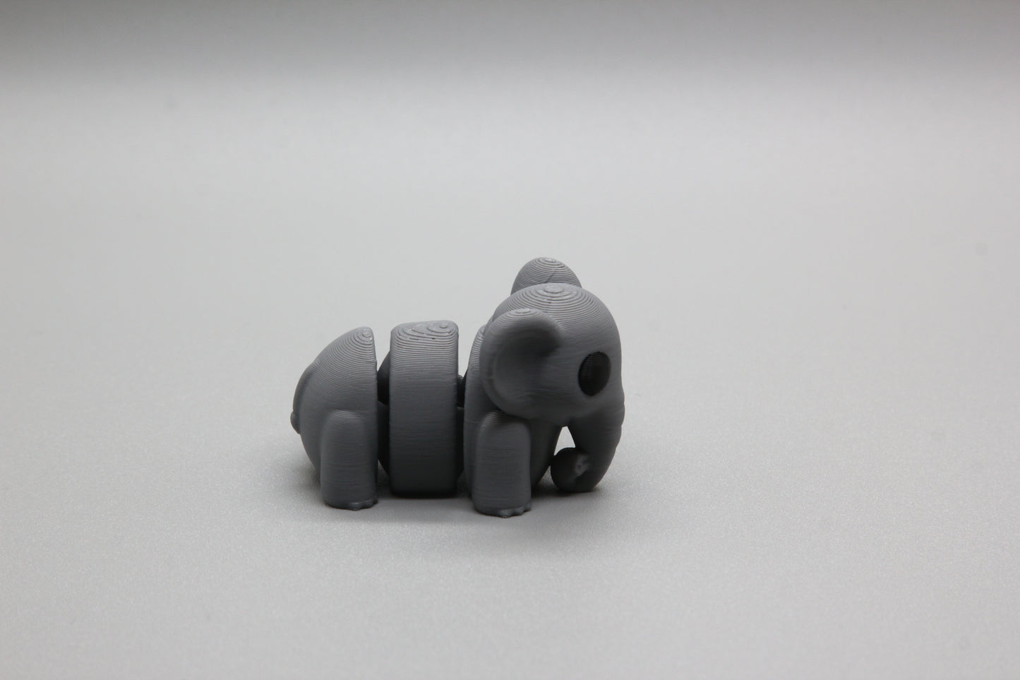 Baby Elephant