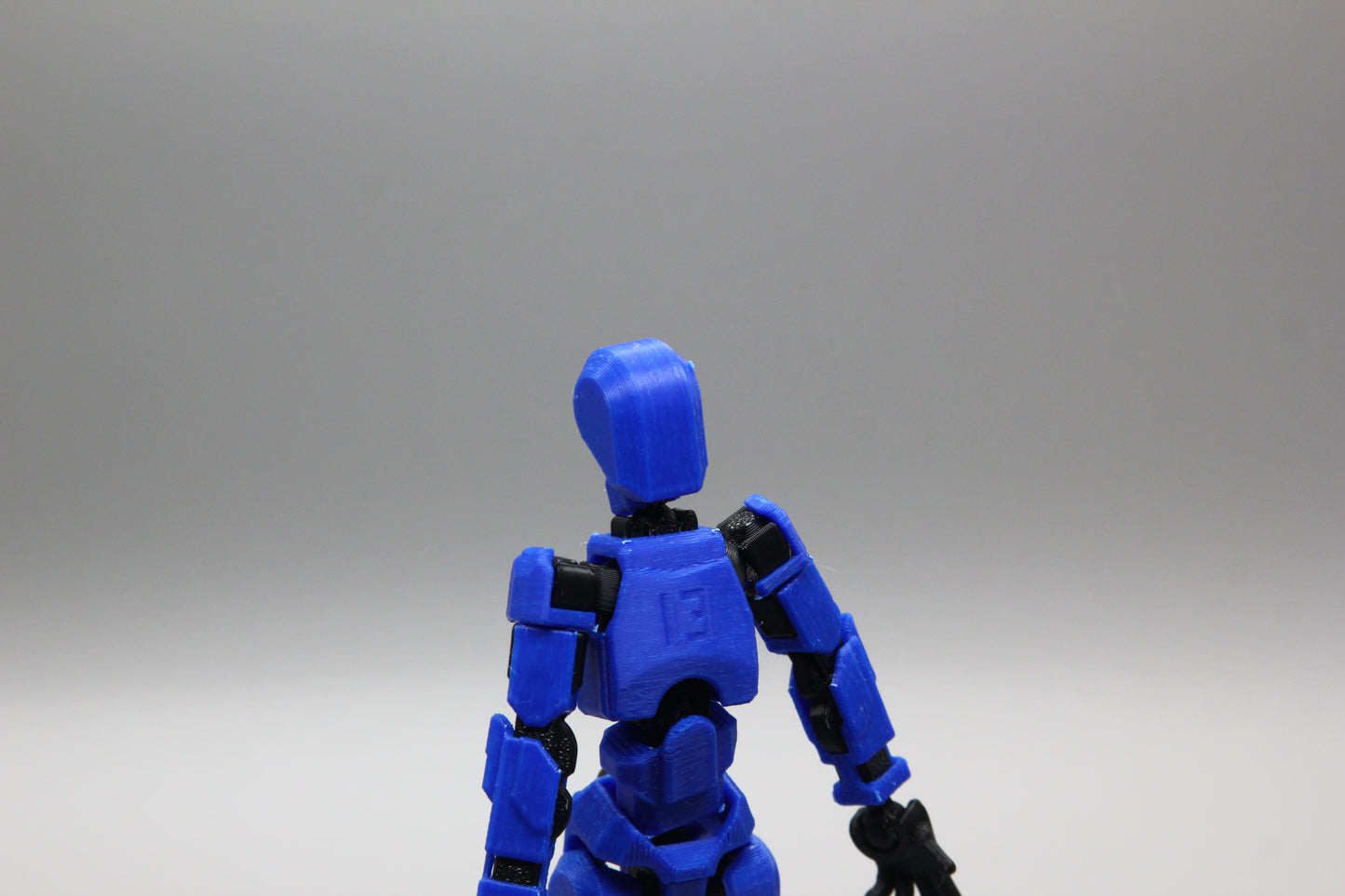Dummy 13(guy, assembled)