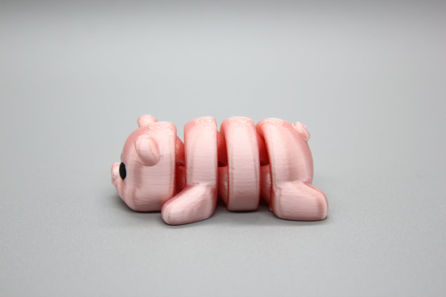 Baby Pigs