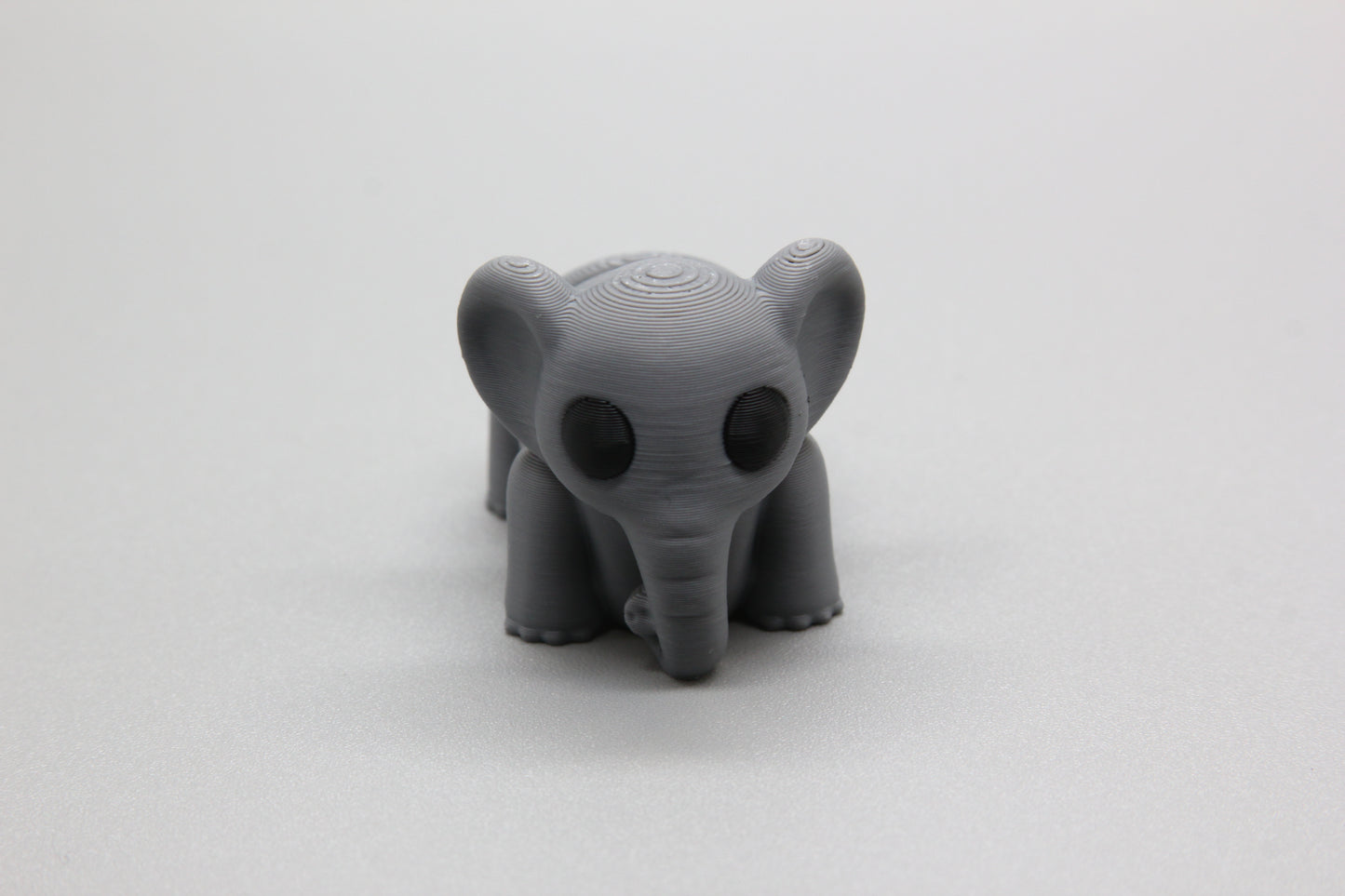 Baby Elephant