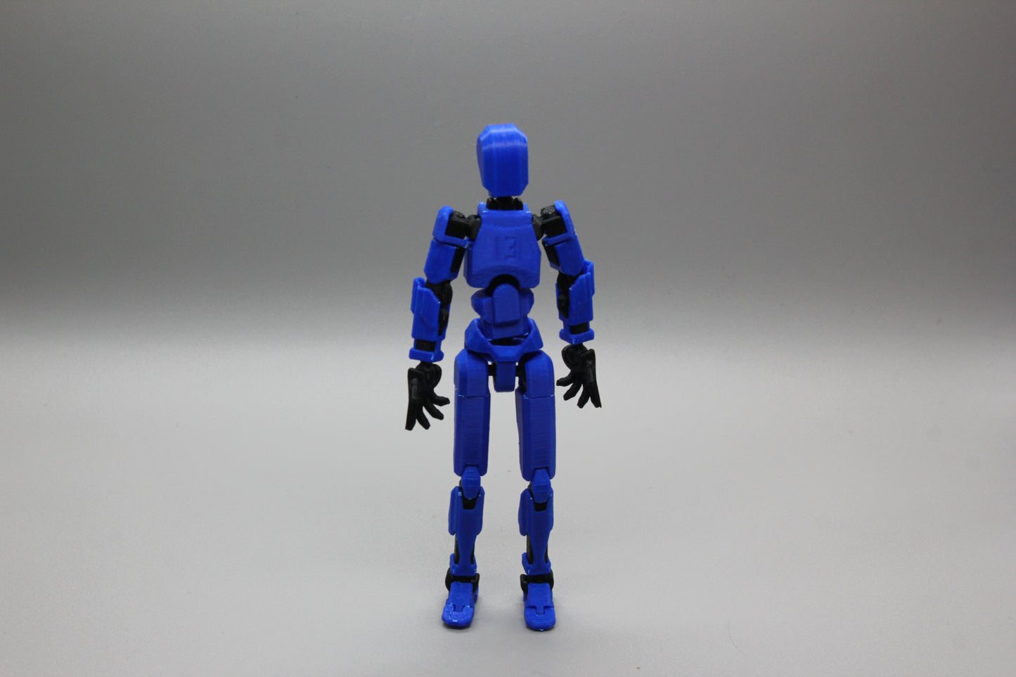 Dummy 13(guy, assembled)