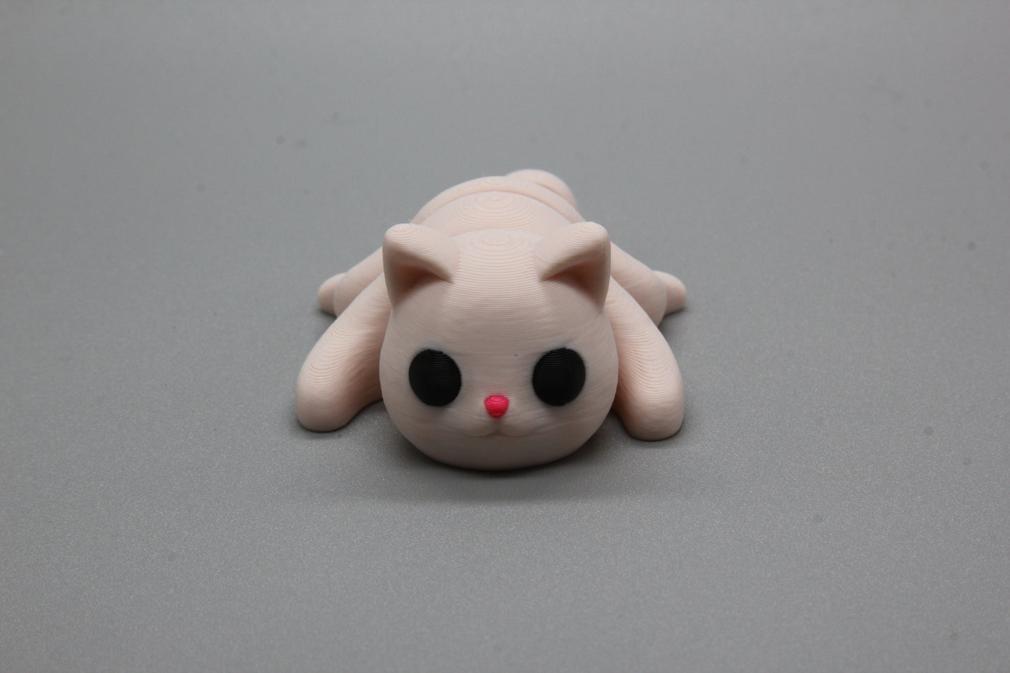 Baby Cat