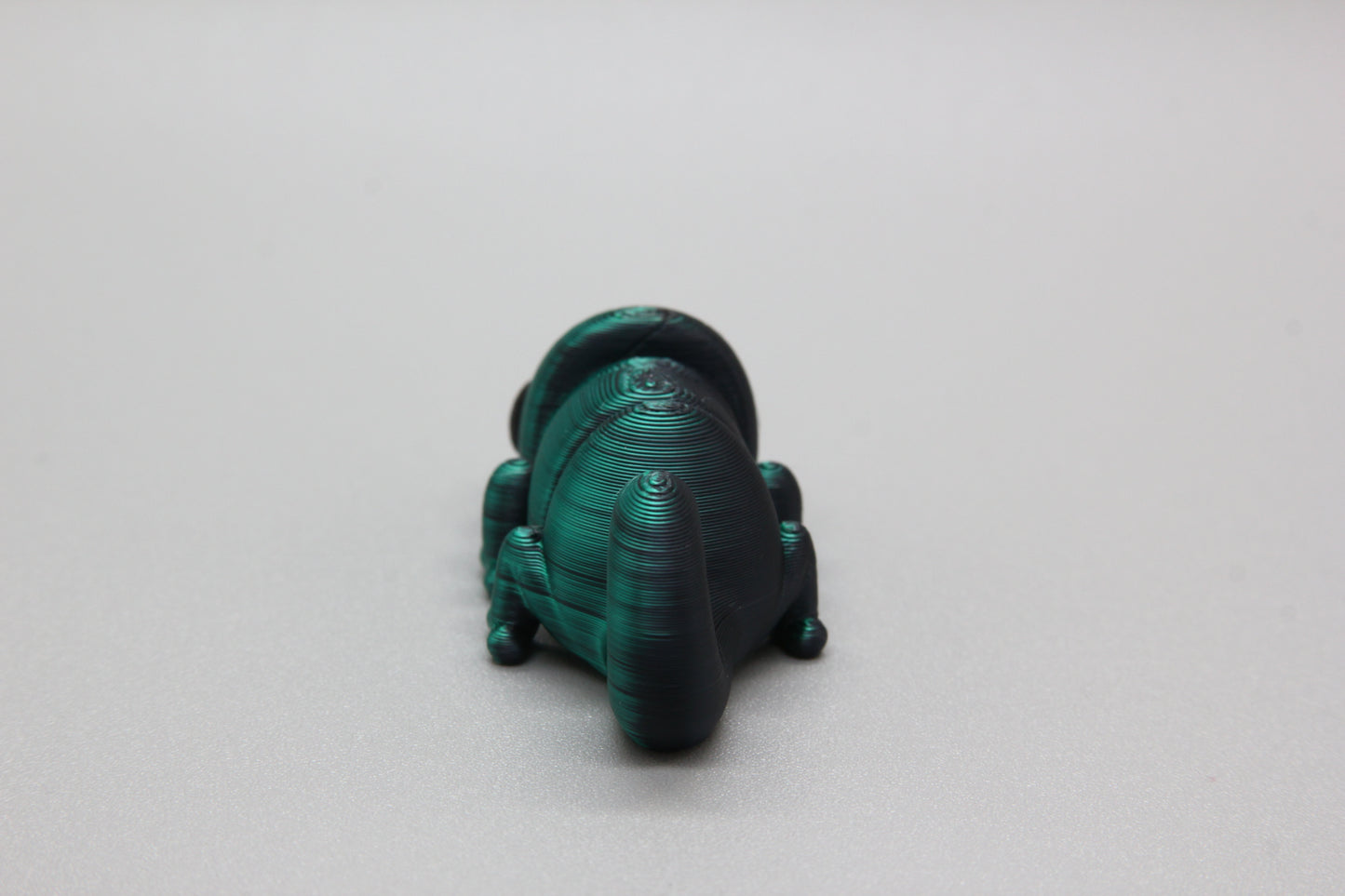 Baby Chameleon
