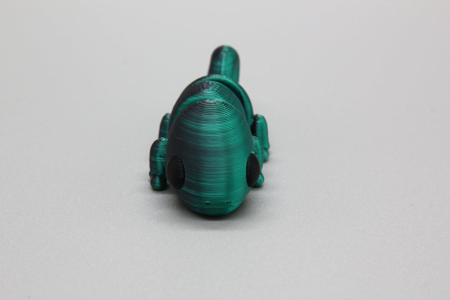 Baby Chameleon