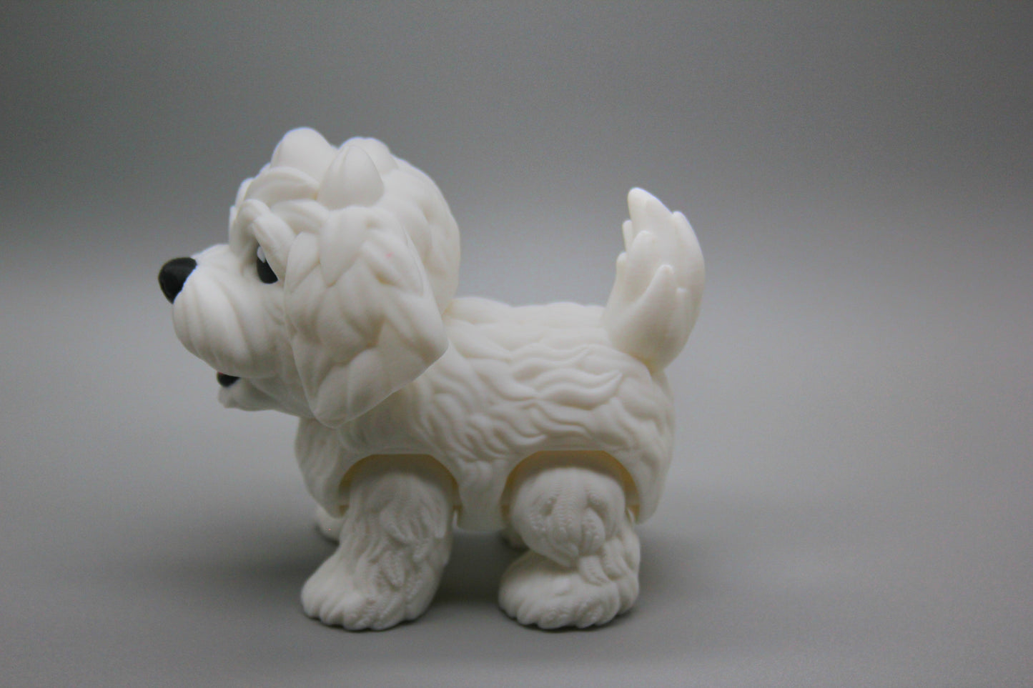 Puppy (Boy)
