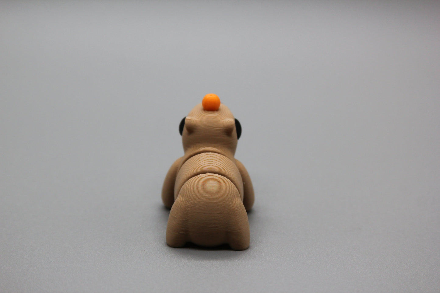 Capybara (with orange)