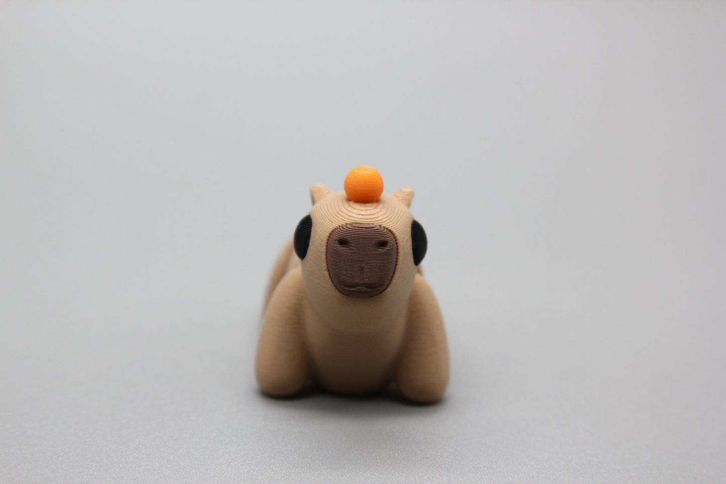 Capybara (with orange)
