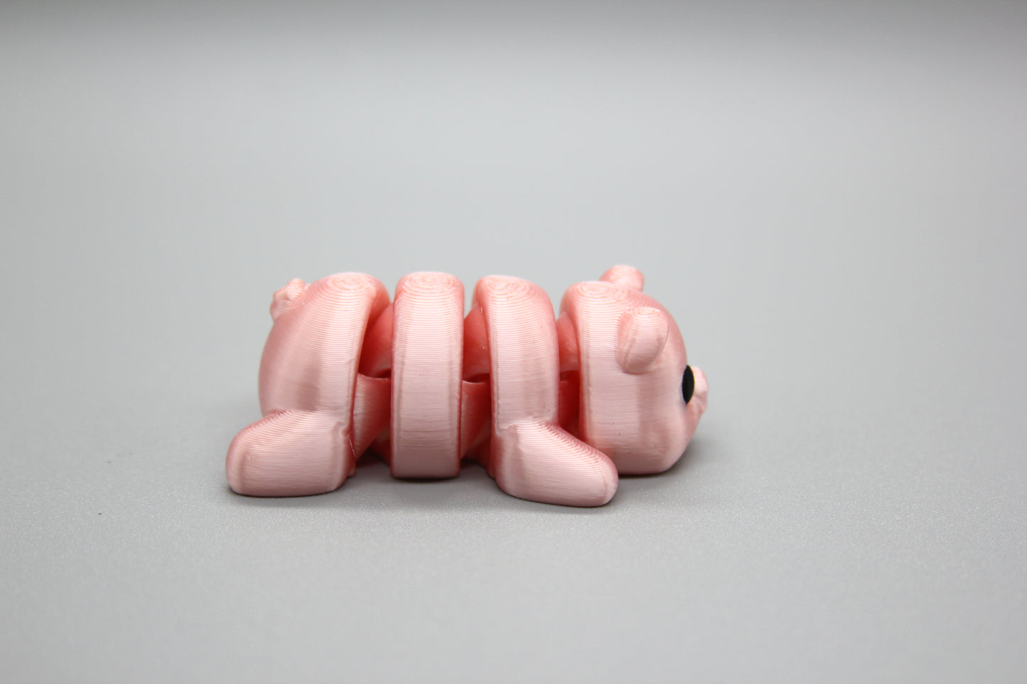 Baby Pigs
