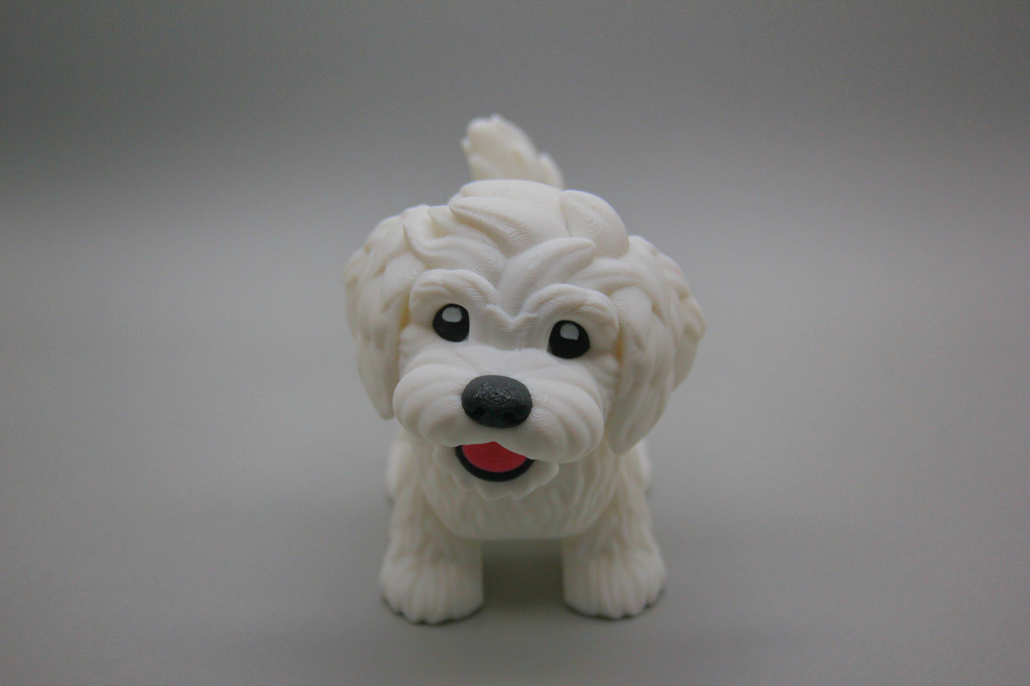 Puppy (Boy)