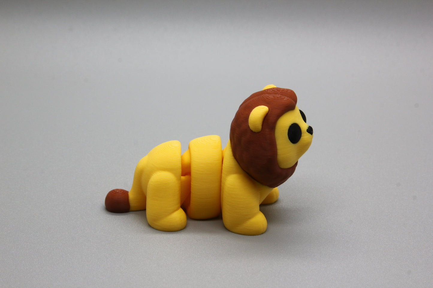 Baby Lion