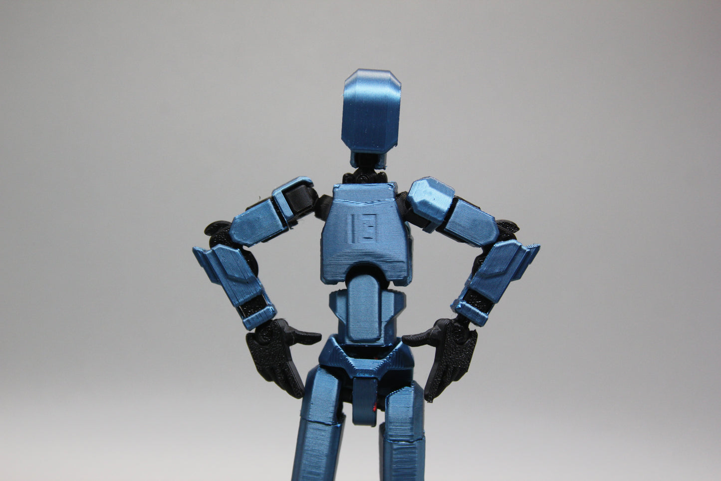 Dummy 13(guy, assembled)