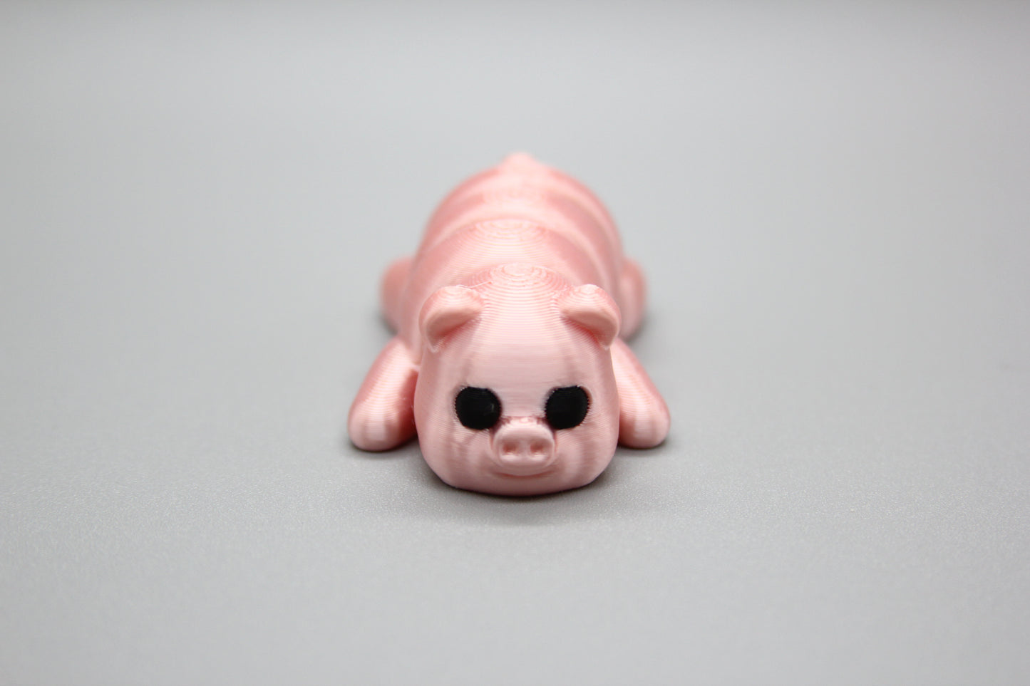Baby Pigs