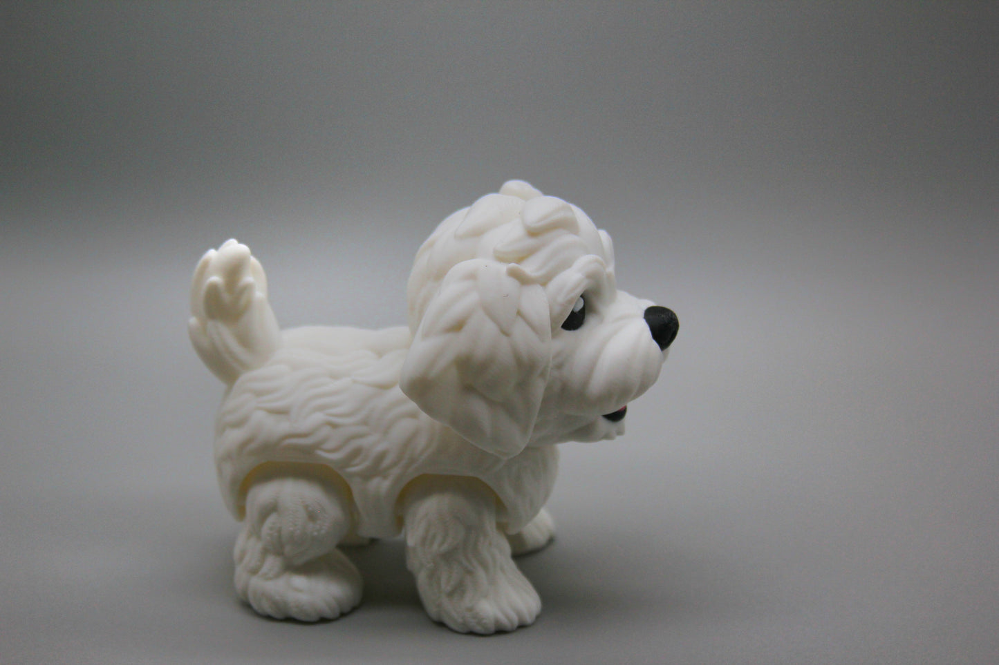 Puppy (Boy)
