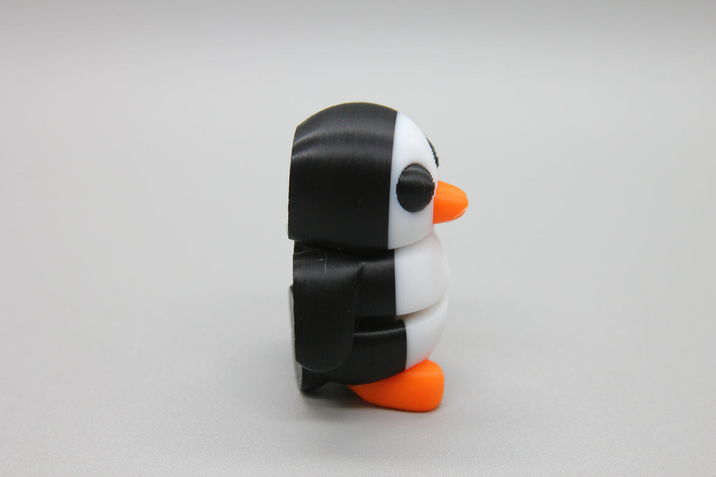 Baby Penguin