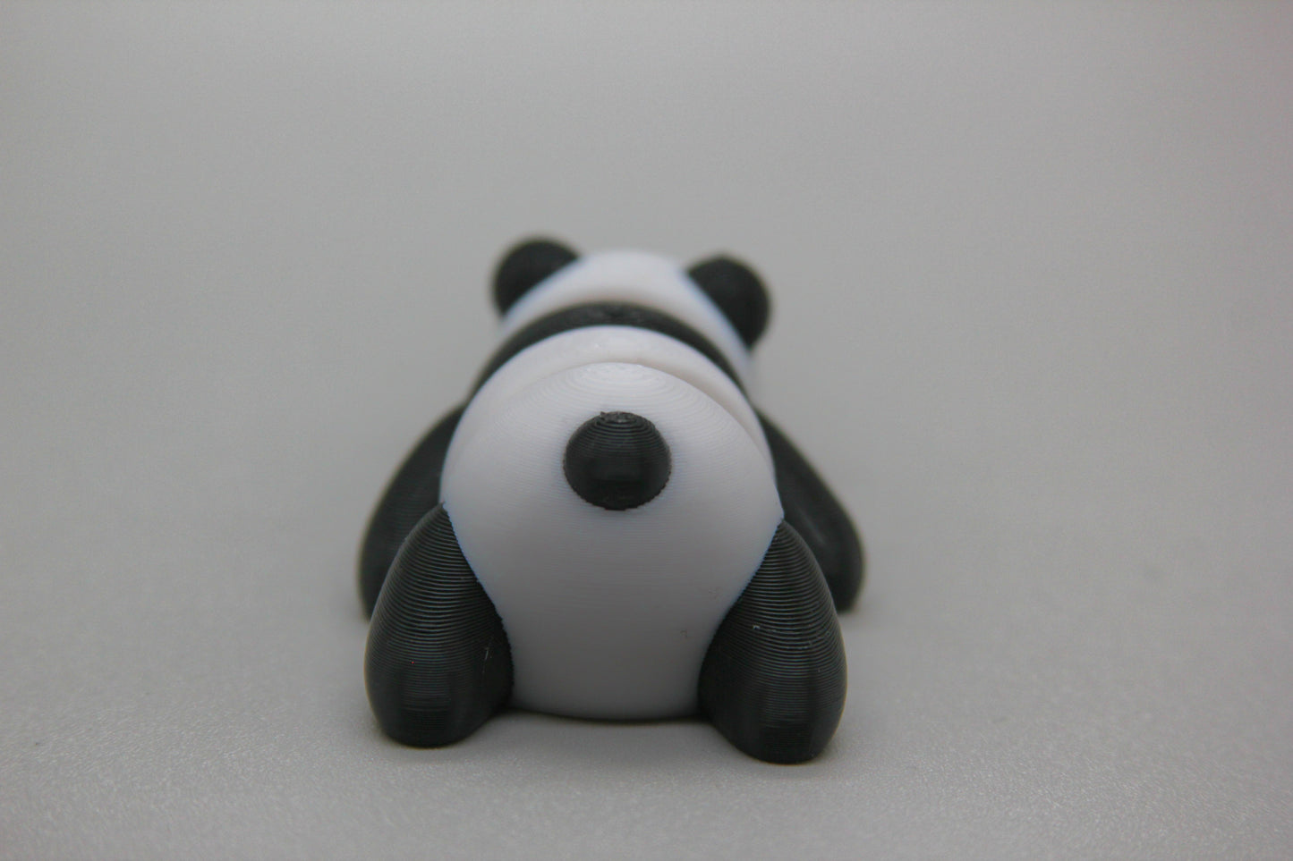 Baby Panda