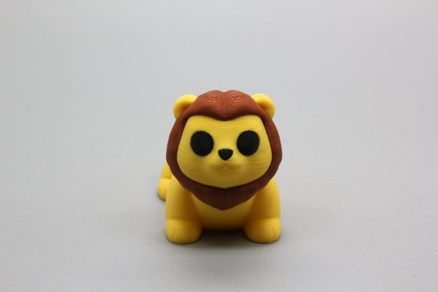 Baby Lion