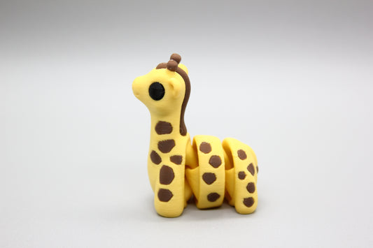 Baby Giraffe