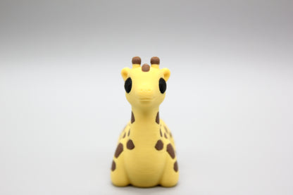 Baby Giraffe