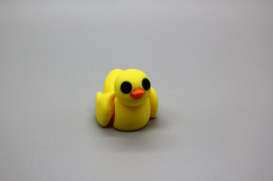 Baby Ducks