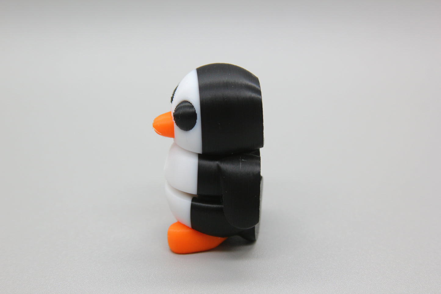 Baby Penguin