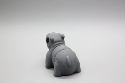 Baby Hippo