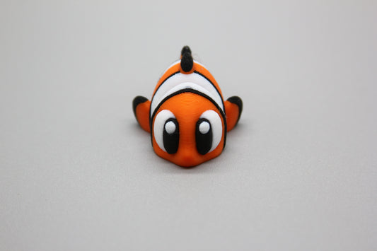 Tropical Clownfish