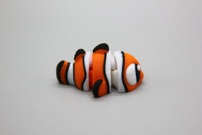 Tropical Clownfish