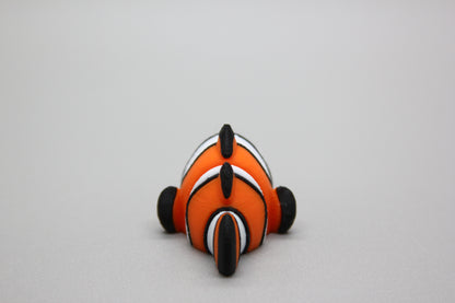 Tropical Clownfish