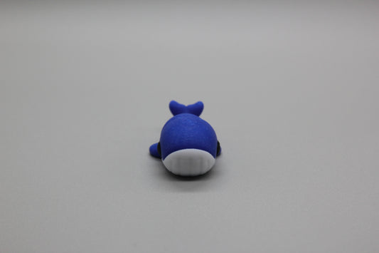 Baby Whale
