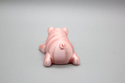 Baby Pigs