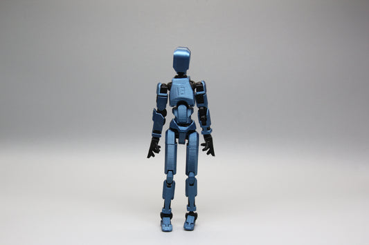 Dummy 13(guy, assembled)