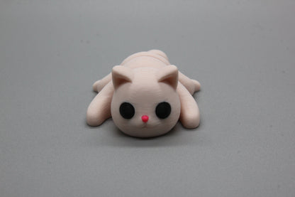 Baby Cat