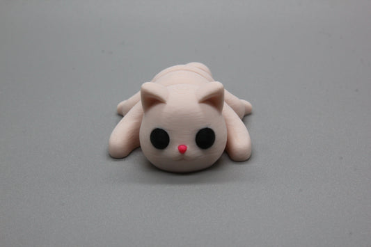 Baby Cat